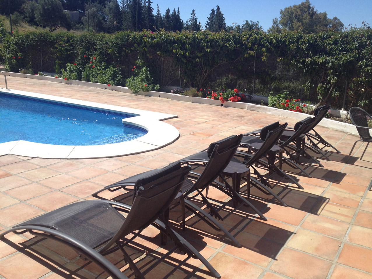 sun beds by the pool